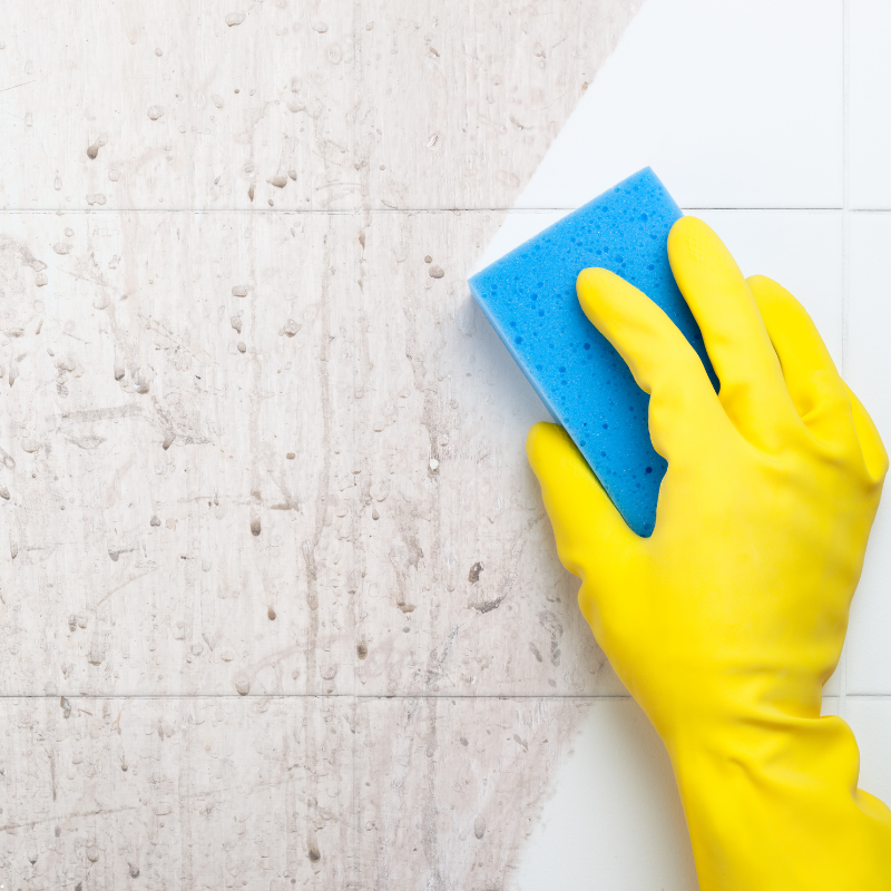 Pristine Property Services offers professional deep cleaning solutions